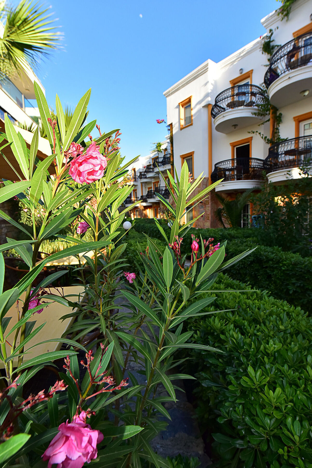 Tropicana Beach Hotel Gümbet Exterior foto